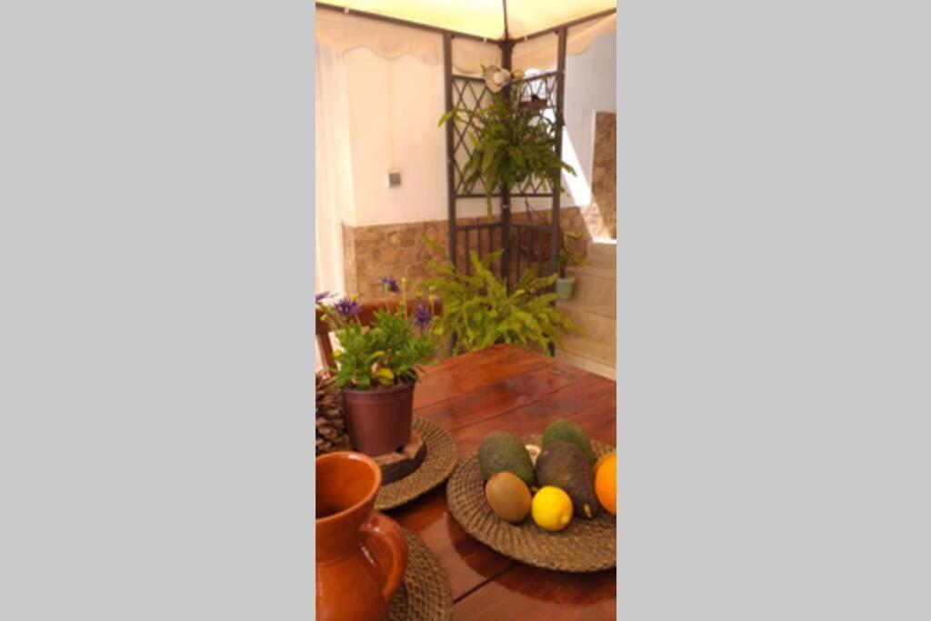 La Vega R. Apartment Vega de Rio de Palmas ภายนอก รูปภาพ